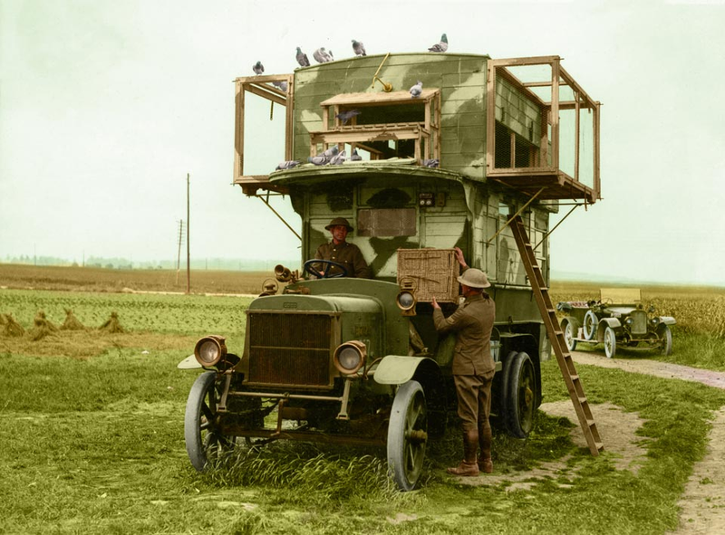 Illustration for article titled Black And White Photos From The First World War, Now In Color